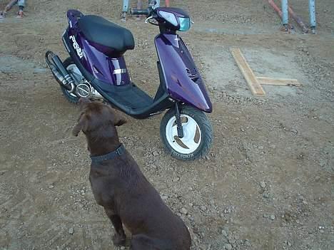 Yamaha Jog FS solgt - dengang den havde c21 på billede 10