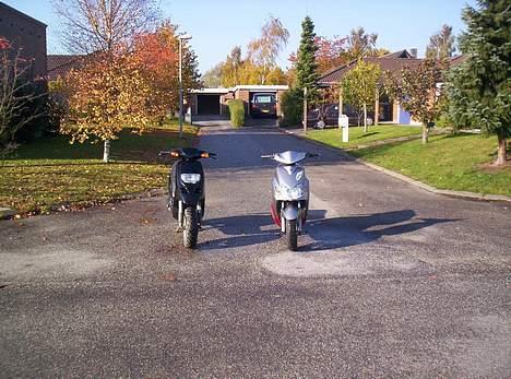 Piaggio Typhoon - min typhoon og ulle´s jog r billede 1