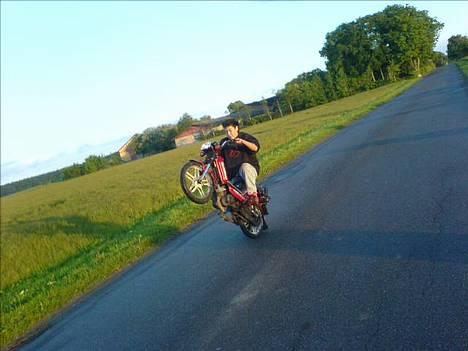 Gizmo Hero 60CC Solgt  - jaaaa... på baghul vil den gerne!!! hæhæh billede 1