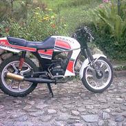 Puch daytona