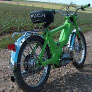 Puch Maxi k neon