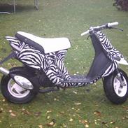 Gilera Stalker {ZEBRAEN} BYTTET