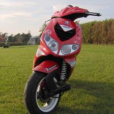 Peugeot SF 2 206 WRC    | SOLGT |