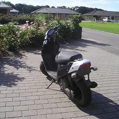 PGO Hot 50  BRÆNDT Af..