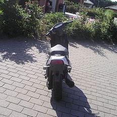 PGO Hot 50  BRÆNDT Af..