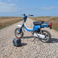 Suzuki FZ 50 (til salg)