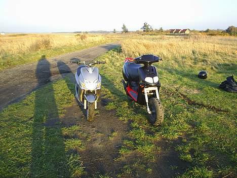Aprilia rally billede 2