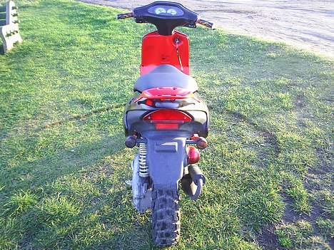 Aprilia rally billede 4