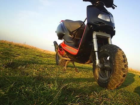 Aprilia rally billede 5