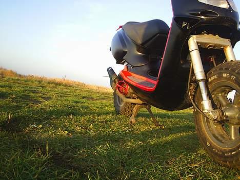 Aprilia rally billede 6
