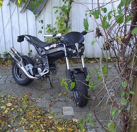 Suzuki Street Magic billede 2