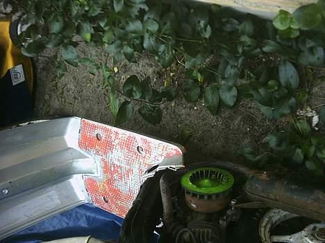 Honda Melody  SOLGT billede 4