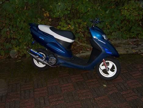 Honda SFX AC "Vilddyret" billede 14