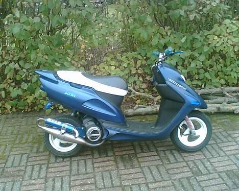 Honda SFX AC "Vilddyret" billede 16