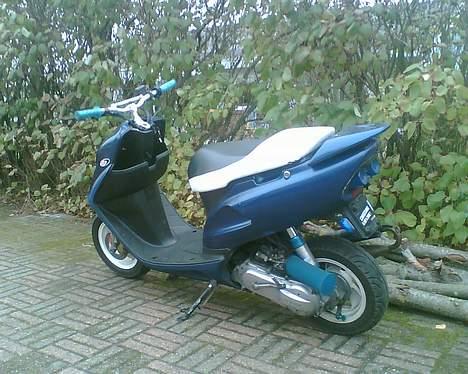 Honda SFX AC "Vilddyret" billede 17