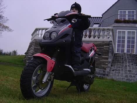 PGO PMX SOLGT billede 4