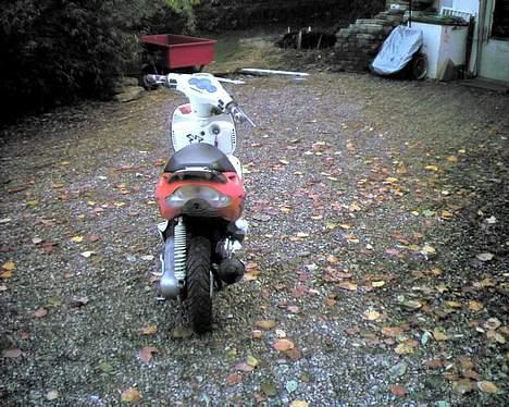 Aprilia Sonic Byttet billede 4