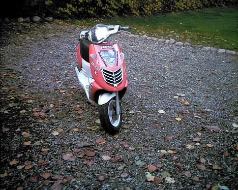 Aprilia Sonic Byttet billede 7