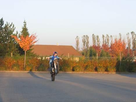 Suzuki Smx projekt FØR. - ja den er vild. billede 9