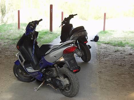 Peugeot Speedfight 2 AC - Lækker røve som de to orginale STT crew har billede 7