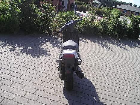 PGO Hot 50  BRÆNDT Af.. billede 3