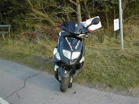 PGO Dr.Big billede 6