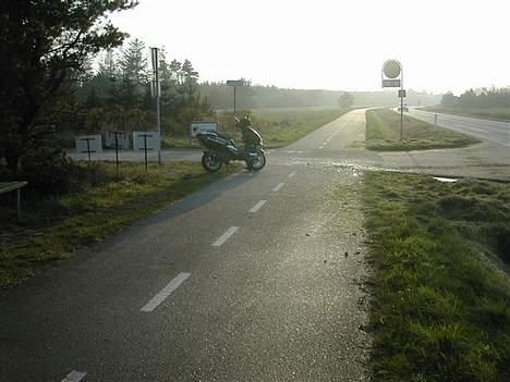 PGO Dr.Big billede 7