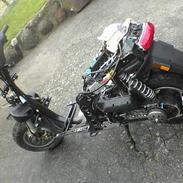 Piaggio Typhoon(SOLGT)