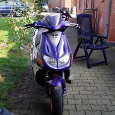 Derbi predator LC DD.   (SOGLT)