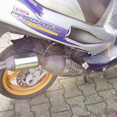 Derbi predator LC DD.   (SOGLT)