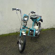 Honda express 