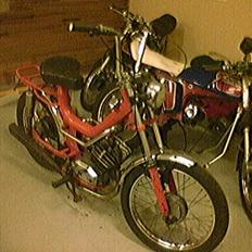 Malaguti fifty special