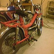 Malaguti fifty special