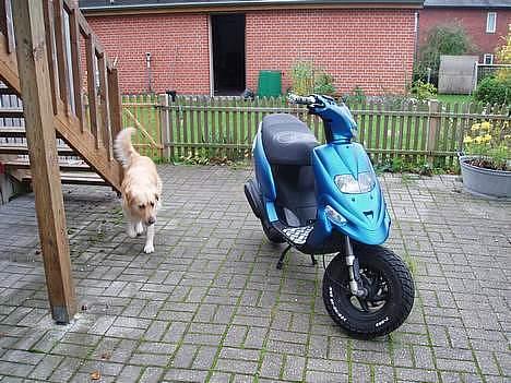 Gilera stalker billede 3