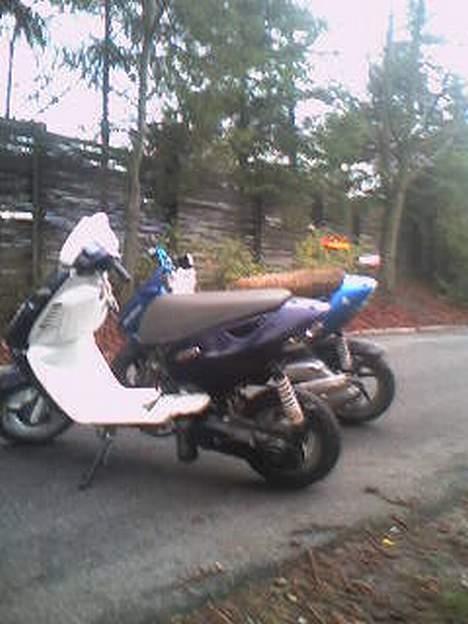 Aprilia Sonic billede 8