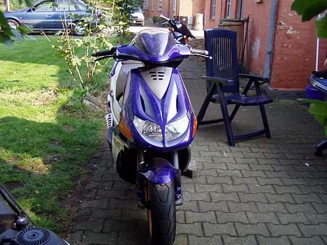 Derbi predator LC DD.   (SOGLT) billede 1
