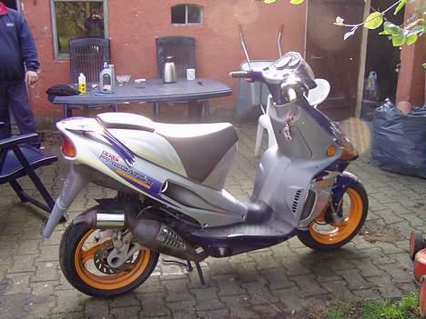 Derbi predator LC DD.   (SOGLT) billede 2