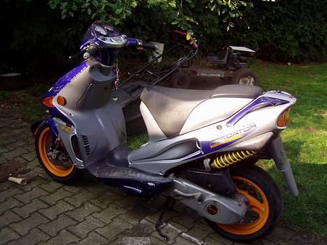Derbi predator LC DD.   (SOGLT) billede 4