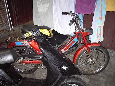 Puch Maxi KL - SOLGT billede 3