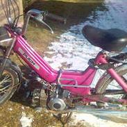 Puch Maxi(SOLGT)