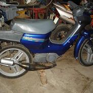 Honda Wallaroo