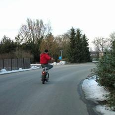 Suzuki Fz 50 Qano`s SOLGT