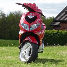 Peugeot Speedfight 2 WRC 206 