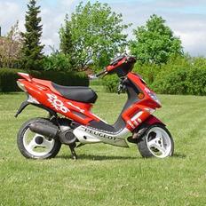 Peugeot Speedfight 2 WRC 206 