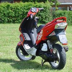 Peugeot Speedfight 2 WRC 206 