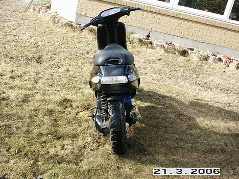 Piaggio typhoon (Solgt) - mangler bcd røvplade billede 4