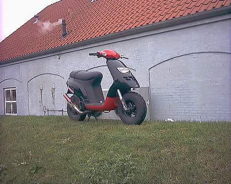 Piaggio Typhoon billede 14