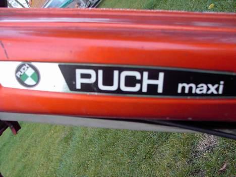 Puch maxi P (ProjekT MonzA) - det ska man ha billede 1