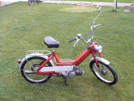 Puch maxi P (ProjekT MonzA) - vildsvinet billede 3