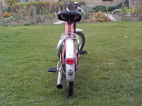 Puch maxi P (ProjekT MonzA) billede 5